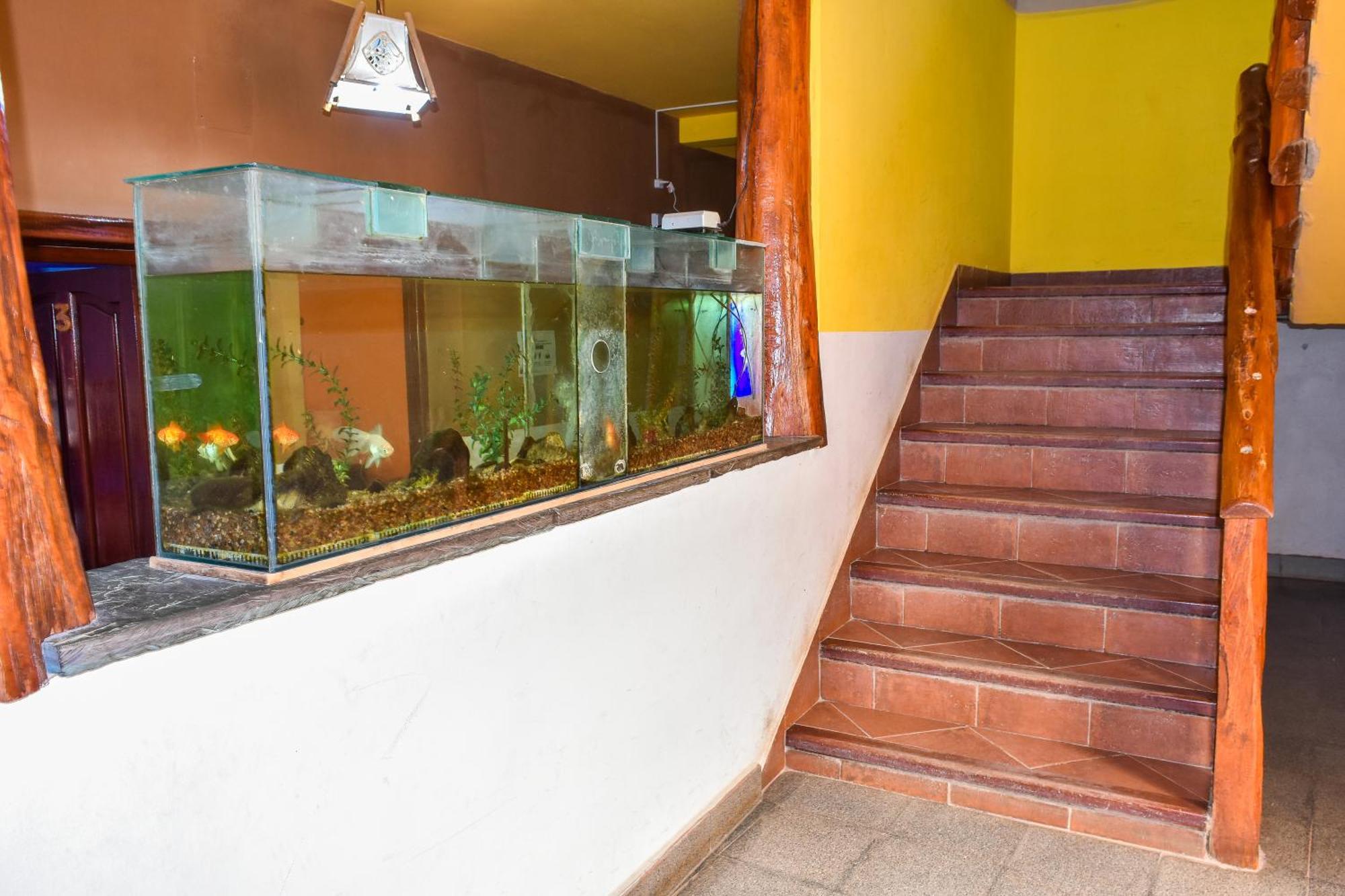 Hotel El Jardin Dante Тилкара Екстериор снимка